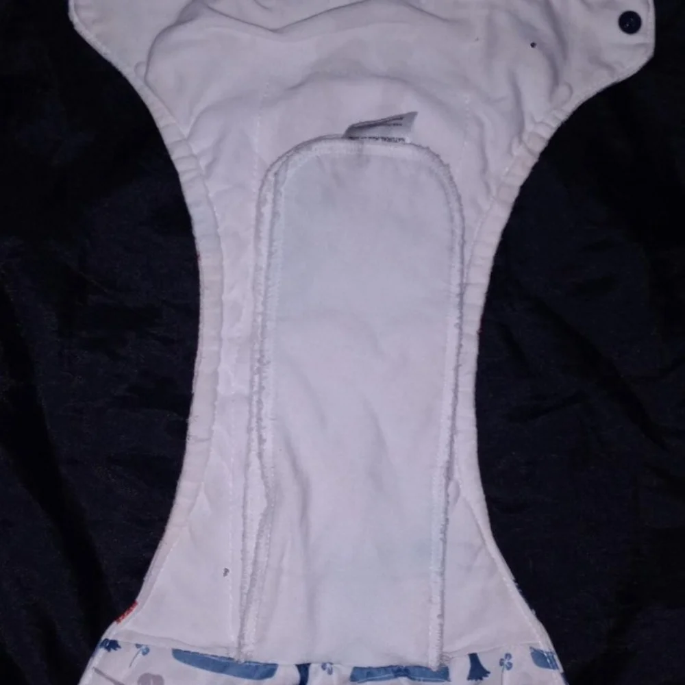 5 Pairs of Reusable Bsby Diapers